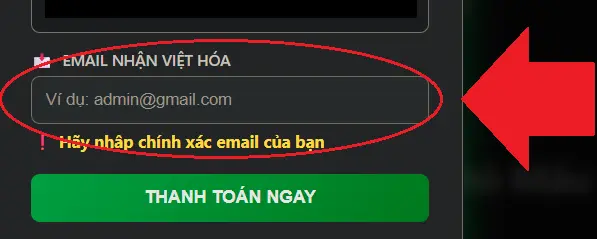 Bước 3: Điền chính xác Email